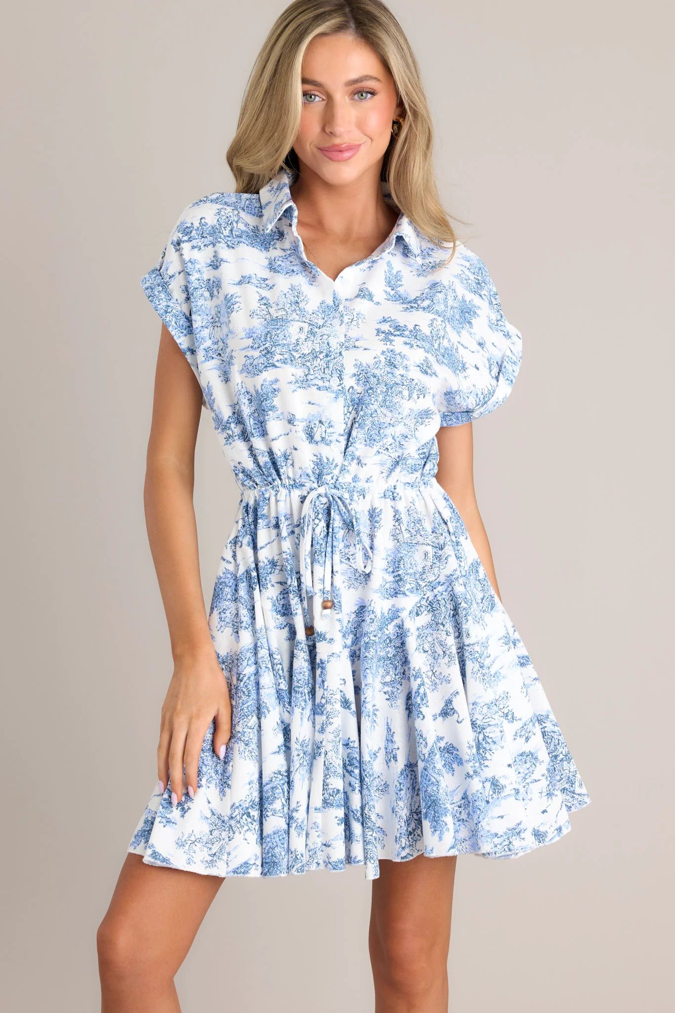 Time After Time Blue & White Toile Mini Dress | Red Dress