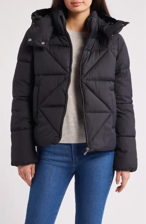 Sam Edelman Cropped Puffer Jacket in Black at Nordstrom, Size Medium | Nordstrom