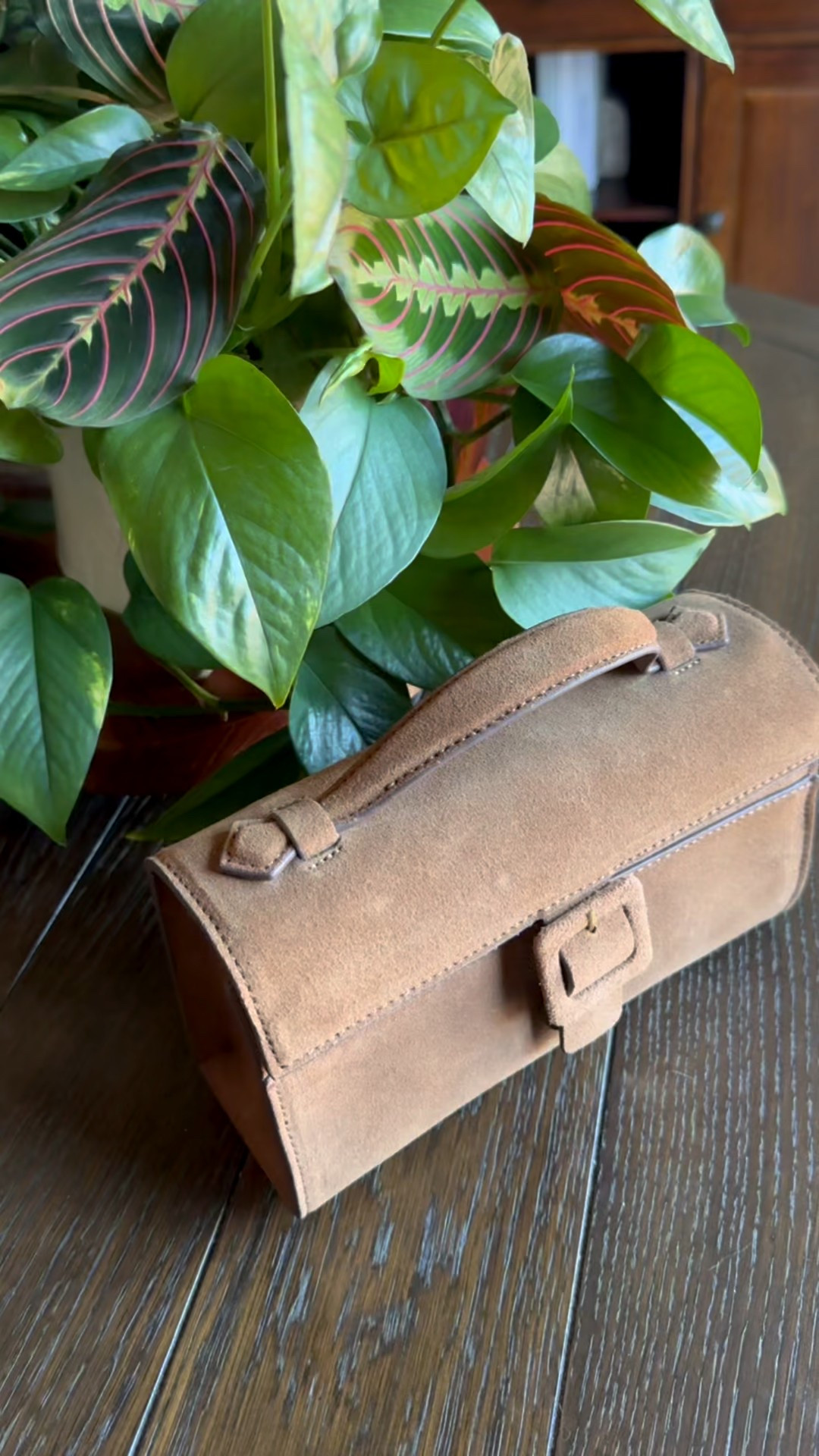 The perfect camel suede crossbody from Dolce Vita 🤎
Soft, neutral, and the ideal size for everyday errands or dressed-up looks.


#crossbodybag #neutralstyle #classicwardrobe #camelbag #fallstyle #winterstyle2025 #dolcevita

#LTKHoliday #LTKGiftGuide #LTKSeasonal