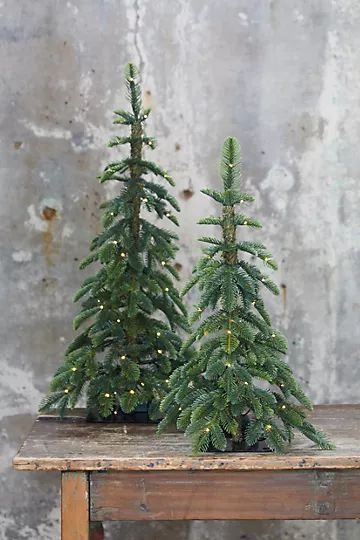 Faux Pre-lit LED Alpine Tabletop Tree | Anthropologie (US)