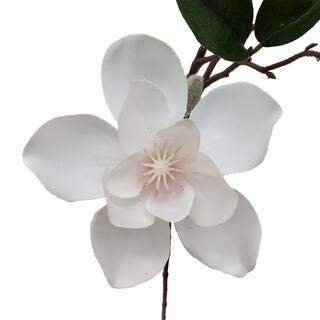 Cream Magnolia Spray by Ashland® | Michaels Stores