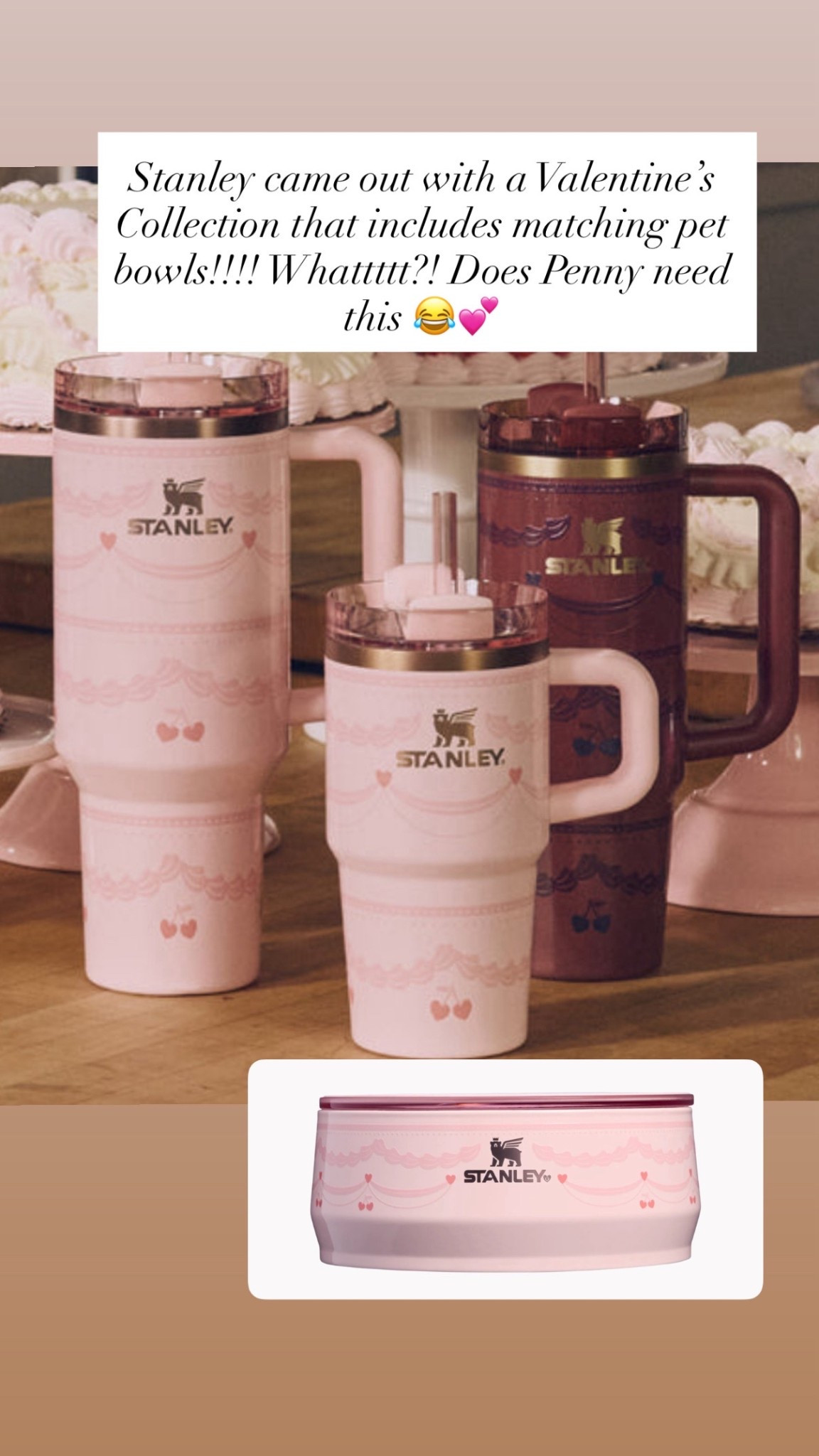 Stanley Valentine’s Day that also has matching pet bowls!!!!!!

#LTKHome #LTKFindsUnder50 #LTKFindsUnder100