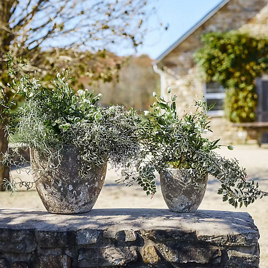 Barnacle Rounded Egg Planter, 12" | Terrain