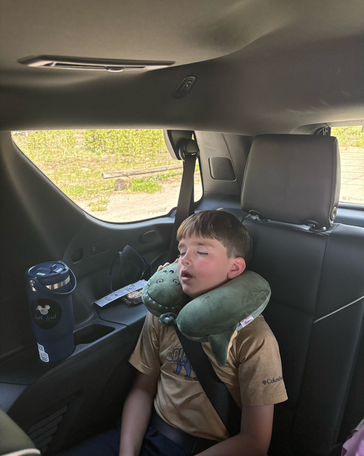 Kids Neck pillows on SALE! 

#neck #neckpillow #kids #travel

#LTKTravel #LTKKids #LTKSaleAlert