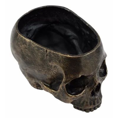 Joannie Day of the Dead Skull Resin Statue Planter World Menagerie | Wayfair North America