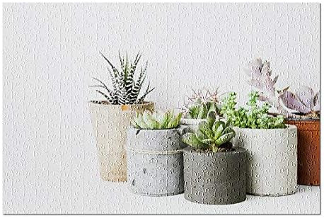 Succulents & Cactus in Different Concrete Pots on a White Shelf 9014208 (Premium 500 Piece Jigsaw... | Amazon (US)