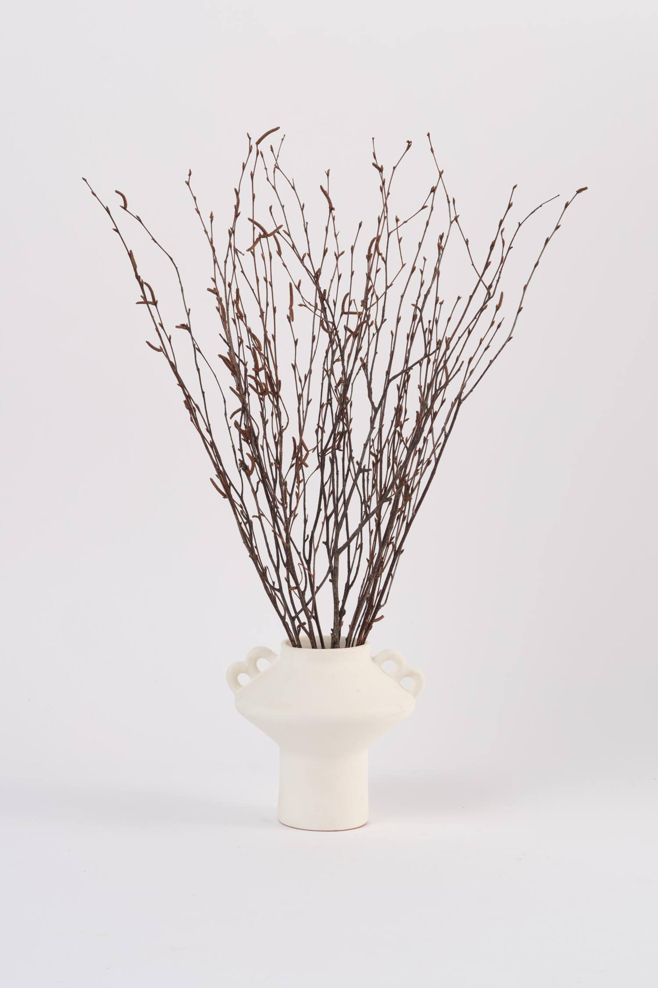 Birch | H&M (UK, MY, IN, SG, PH, TW, HK)