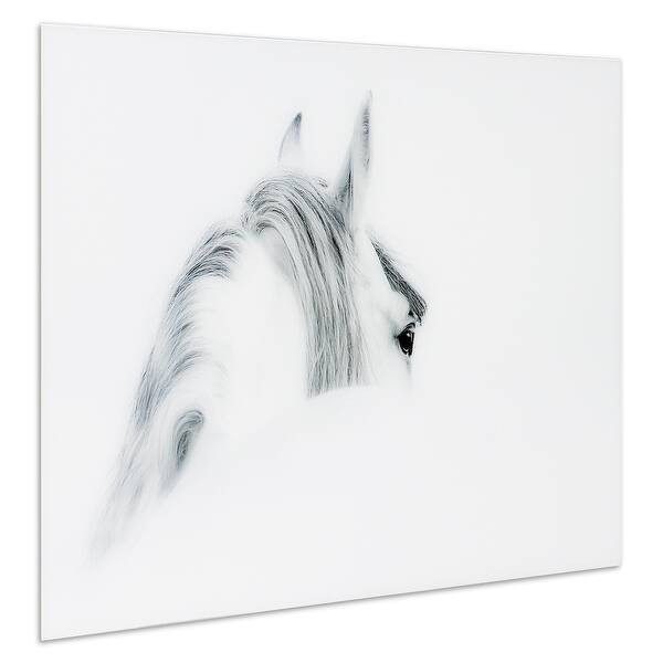"Blanco Mare Horse" Frameless Free Floating Tempered Glass Panel Graphic Wall Art - Bed Bath & Be... | Bed Bath & Beyond