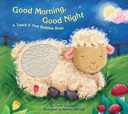 Bendon 13380-1 Piggy Toes Press Good Morning Good Night Touch & Feel Storybook, Multicolor | Amazon (US)