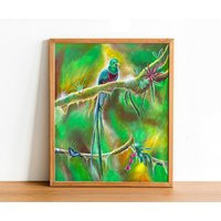 Quetzal Art Print, Painting, Guatemalan Art, Tropical Latin Bird, Guatemala, Guatemala Wall Art | Etsy (US)