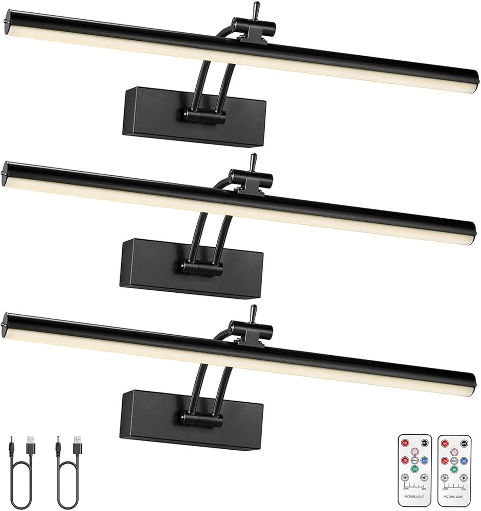 3 Pack Picture Light Battery Operated for Wall, 16" Wireless Display Art Lighting for Painting wi... | Amazon (US)