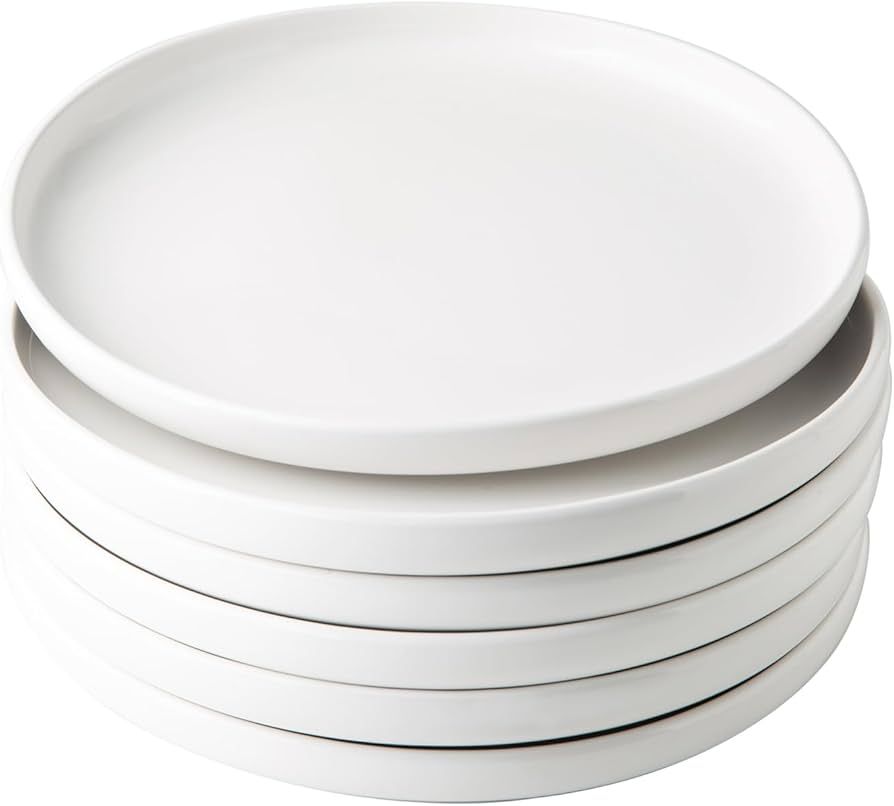 GBHOME Dinner Plates Set of 6,10.5 Inch Round Modern Stoneware Plates for Kithen,Flat Circle Dish... | Amazon (US)