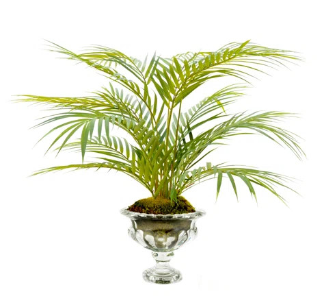 Faux Palm Plant in Glass Vase | Wayfair North America