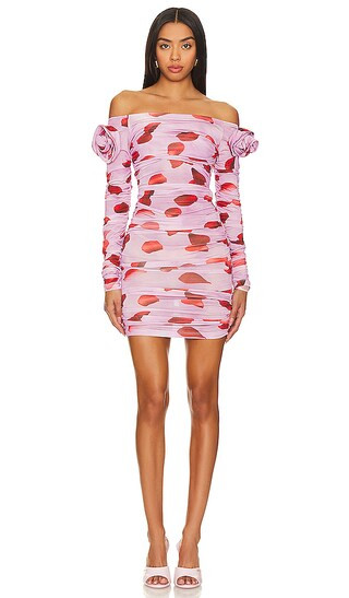 Erika Dress in Pink | Revolve Clothing (Global)