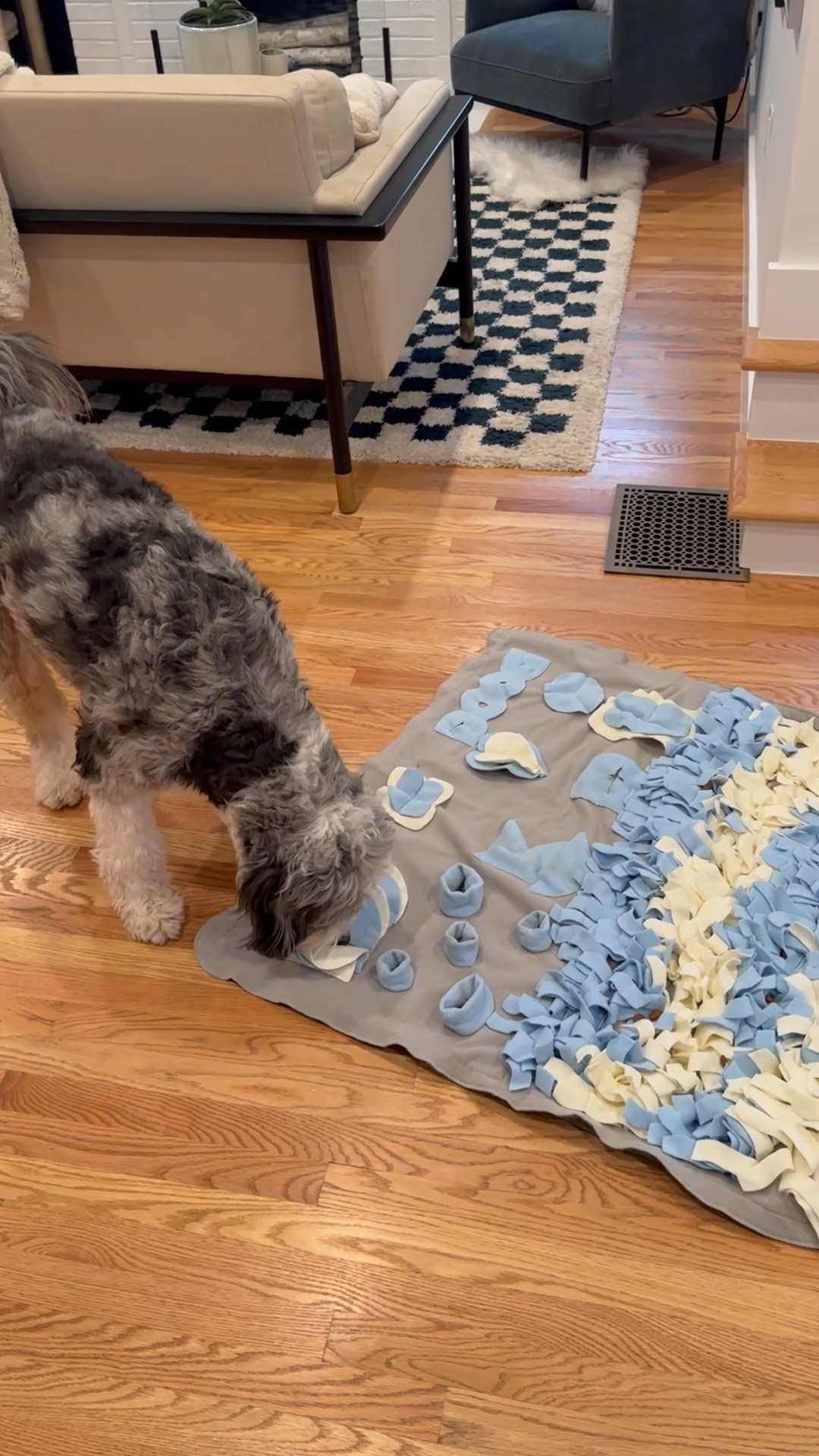  STELLAIRE CHERN Snuffle Mat for Small Large Dogs