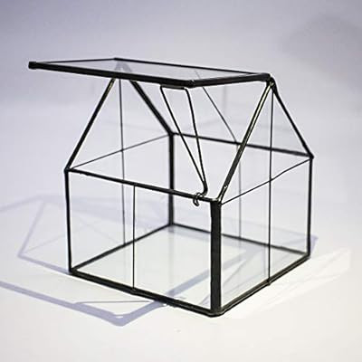 Ferrisland Glass Plant Terrarium Container Wardian Case Indoor Succulent Planter w/Door - 5.0"x4.... | Amazon (US)