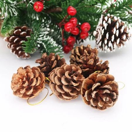 Gwong 6Pcs/Set Hanging Pendant Fine Workmanship Widely Applied Dried Flower Merry Christmas Natural  | Walmart (US)