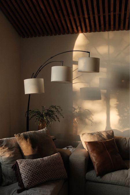 Home decor, Living Room, Floor Lamps, Throw Pillows 

#LTKfindsunder50 #LTKhome #LTKstyletip