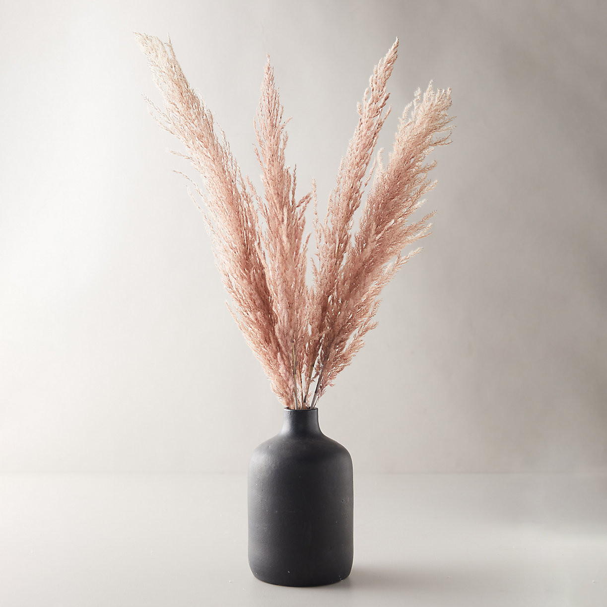 Dried Pampas Grass Bunch | Terrain