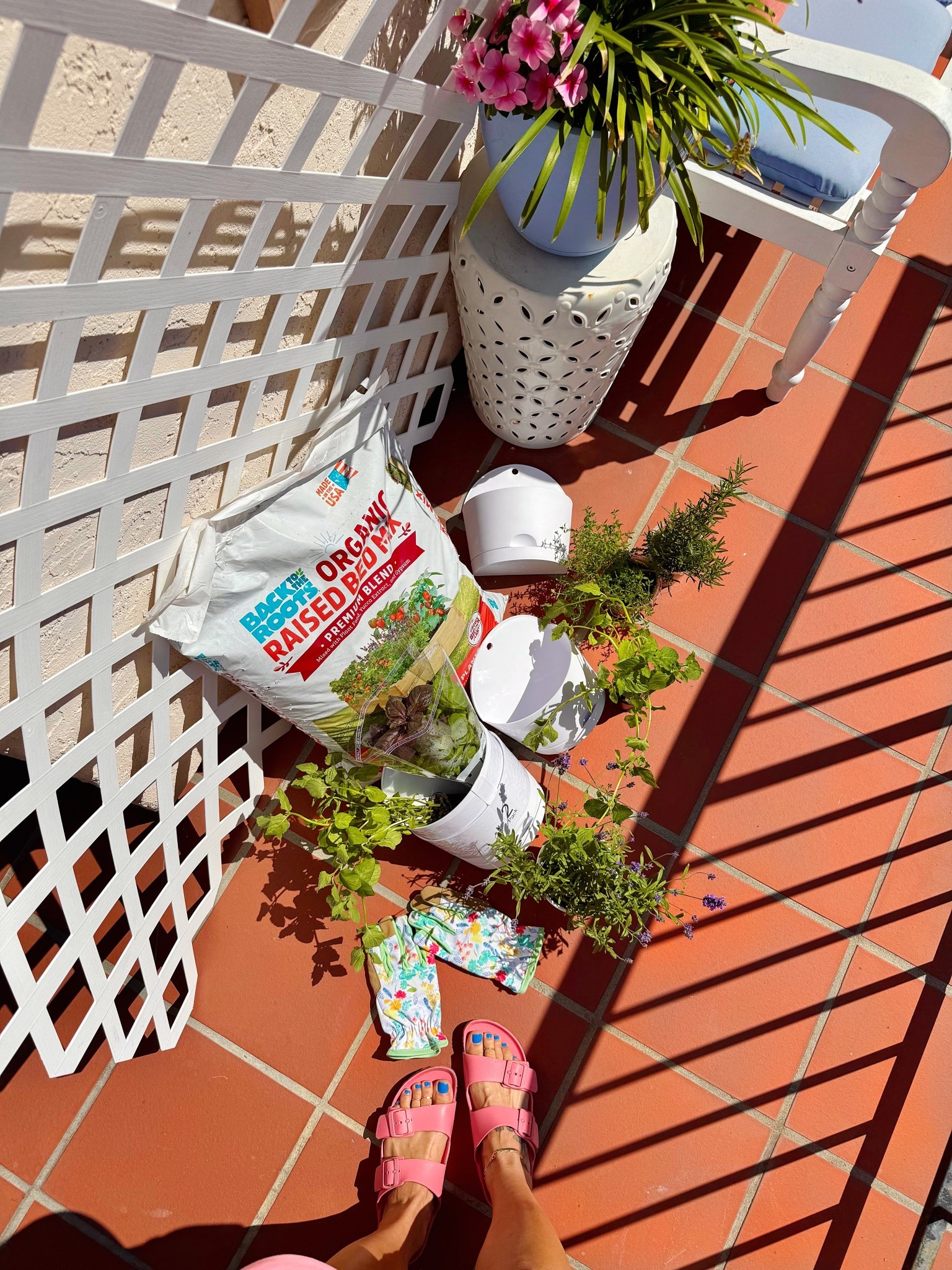 Wall Herb Garden (herbs from market & home depot) Birkenstocks are in color watermelon from a couple years back. So comfy and waterproof! Love all the color options. Which new color should I get? 


#LTKSeasonal #LTKHome