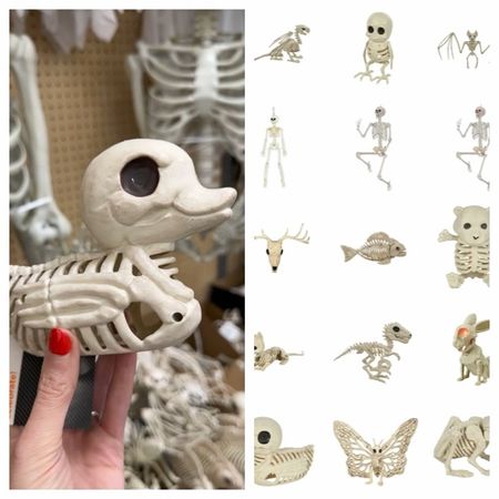 Theee best collection of skeletons! They’ll even make you say, “aww, that’s cute!"

#LTKkids #LTKhome #LTKHoliday