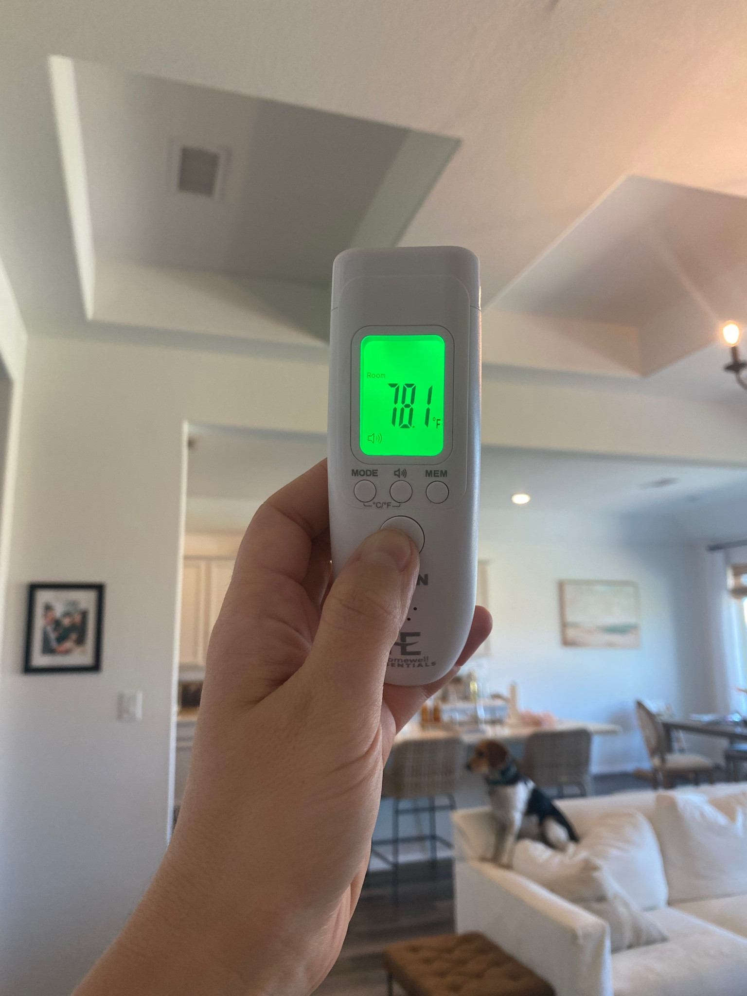 Family Thermometer 

#LTKFindsUnder50 #LTKHome #LTKSaleAlert