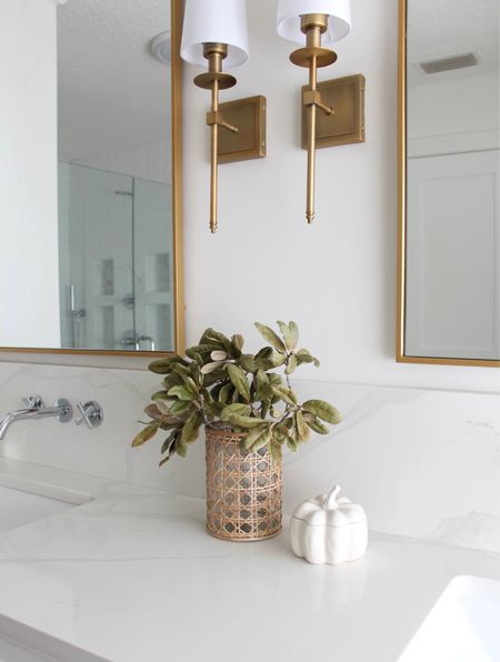 Bathroom Fall Decor
Vanity styling
Brass sconce lighting 
Gold mirrors
Wall mounted faucets 


#LTKhome #LTKSeasonal #LTKunder100