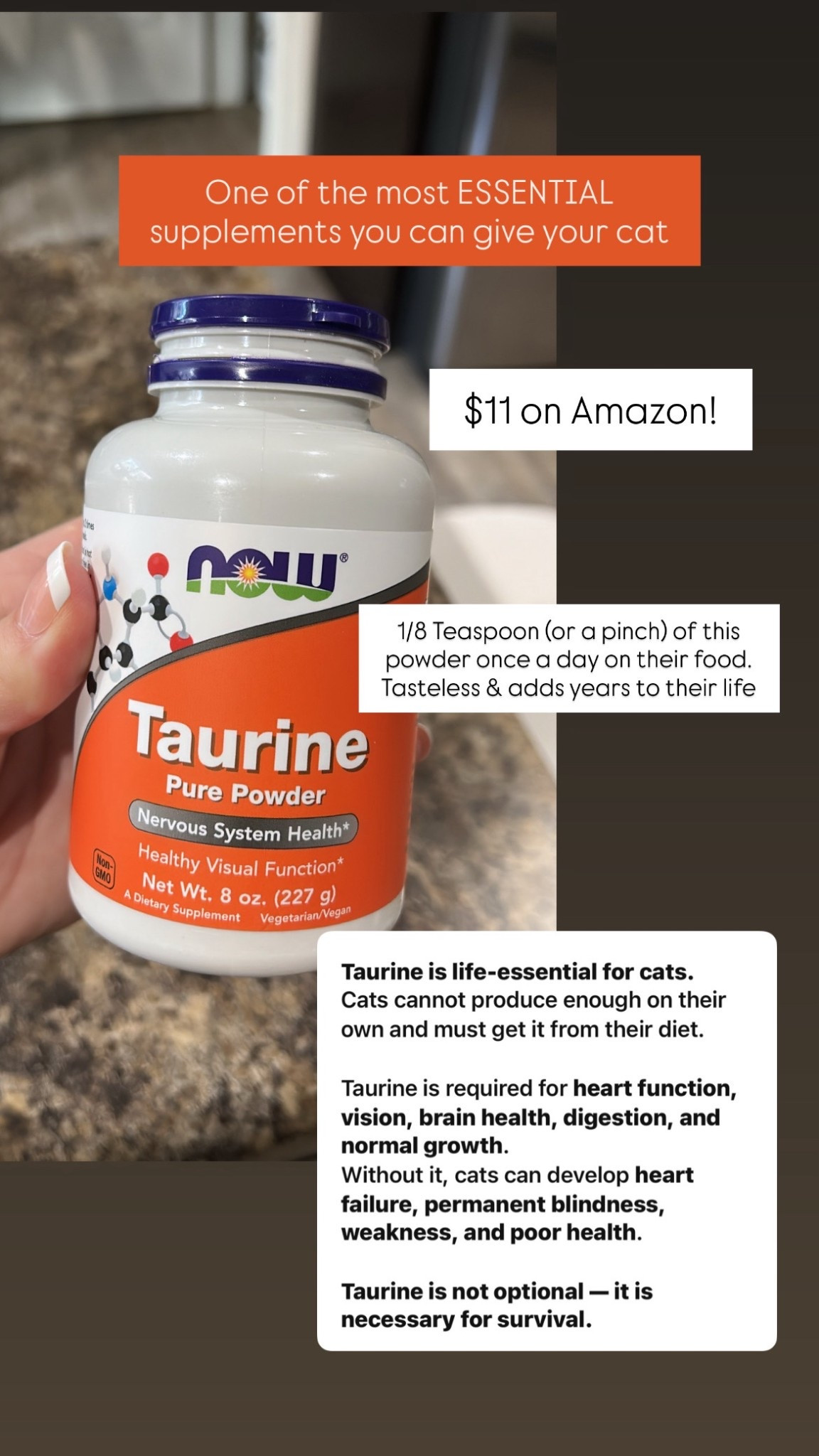 Taurine is essential for cat’s overall health. A little goes a long way. Linking my go-to affordable brand of Taurine I use here! #LTKcat #LTKcats #LTKpetcare #LTKpets 

#LTKHome