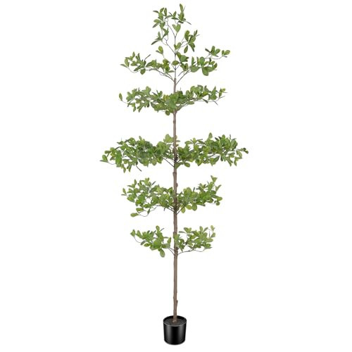 FEELEAD Artificial Black Olive Tree 6ft – Faux Shady Lady Tree with Natural Wood Branches & Realistic Green Leaves, 6 Feet Tall Potted Fake Olive Tree for Indoor Home or Office Decor | Amazon (US)