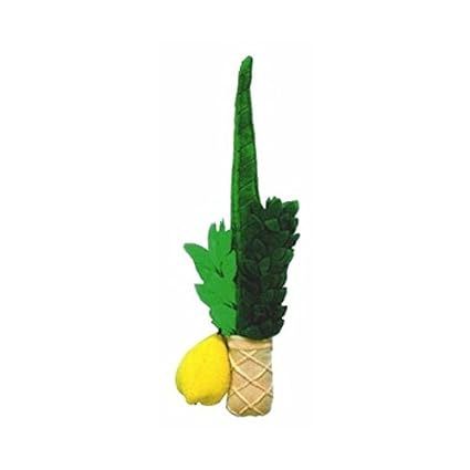 Plush Lulav & Esrog Set | Amazon (US)