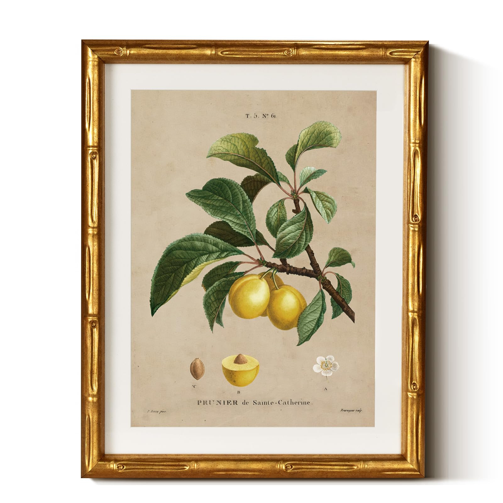 InSimSea Gold Bamboo Framed Canvas Wall Art, Retro Nature Plum Botanical Paintings, Antique Vinta... | Amazon (US)
