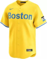 Nike Men's Boston Red Sox 2025 City Connect Blank Limited Vapor Jersey | DICK'S Sporting Goods