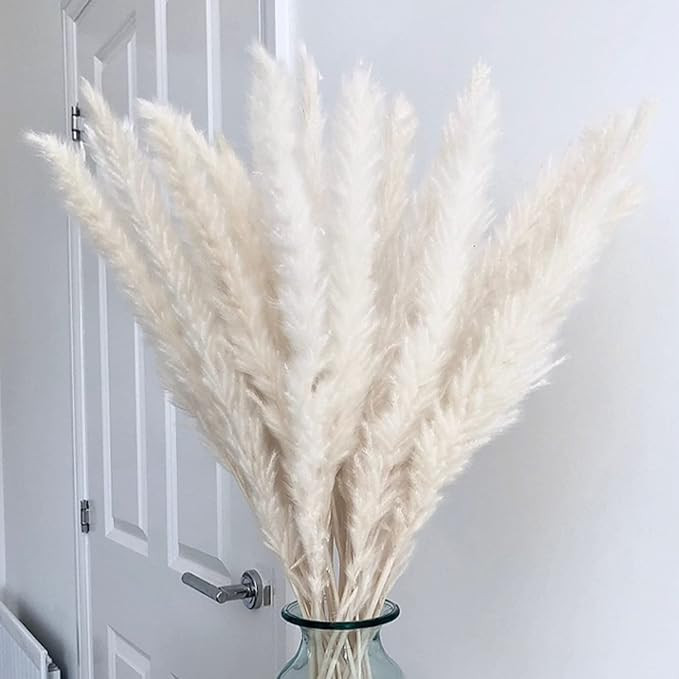 Amazon.com: Rinlong 18inch 20 Stems Natural Dried Pampas Grass Fluffy White Faux Small Pampas Gra... | Amazon (US)