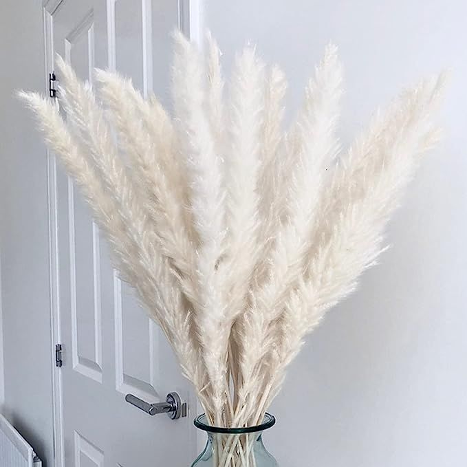 Amazon.com: Rinlong 18inch 20 Stems Natural Dried Pampas Grass Fluffy White Faux Small Pampas Gra... | Amazon (US)