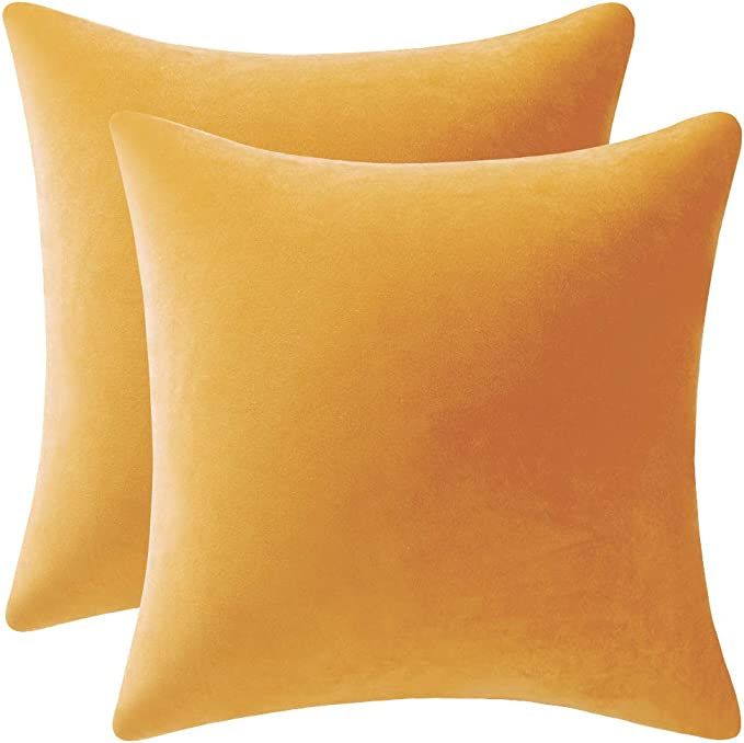 Couch Pillow Covers 22x22 Golden Yellow: 2 Pack Cozy Soft Velvet Square Throw Pillow Cases for Fa... | Amazon (US)