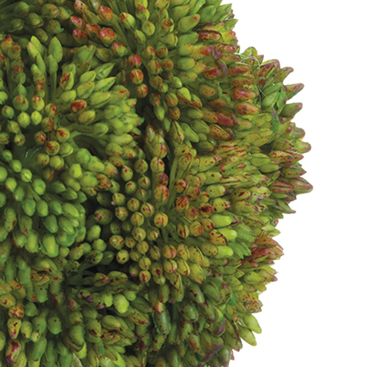Decorative Sedum Balls (Set of 3) | Wayfair North America