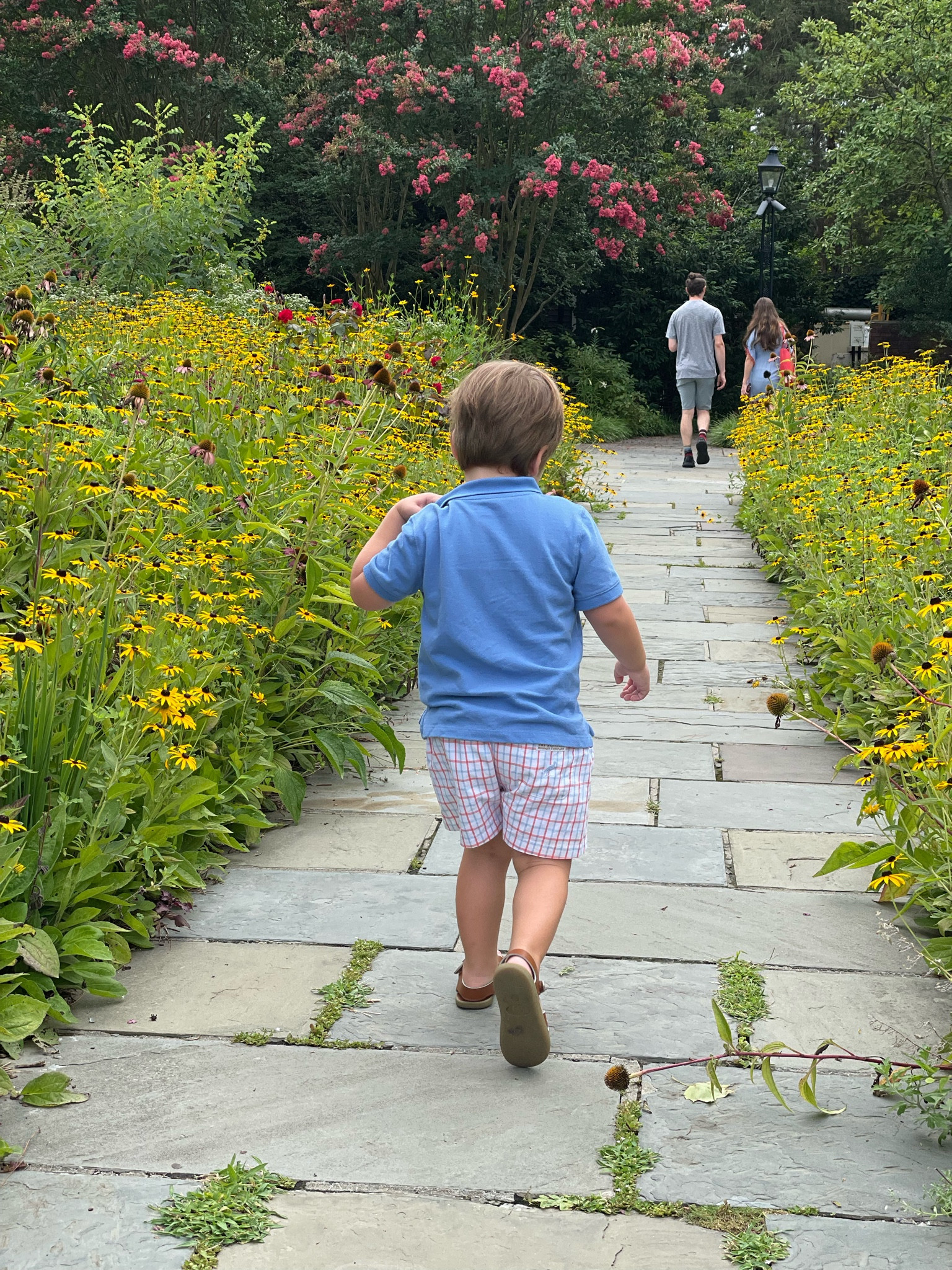 Extra points if the Mickey matches the shorts?? Linking some plaid favorites that marry happily with #Disney gear

#disneyworld #disneyland 

#LTKKids