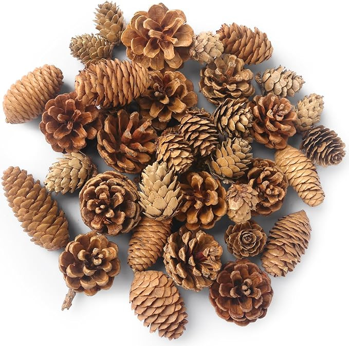 VGOODALL 40PCS Natural Pine Cones, Christmas Pinecones for Crafts Assortment Rustic Pine Cones fo... | Amazon (UK)