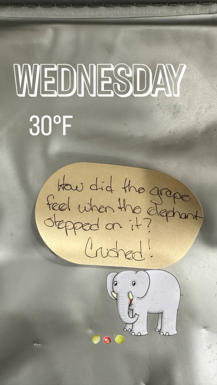 Today’s lunchbox joke

#LTKmorningroutine #LTKfoodie #LTKKids