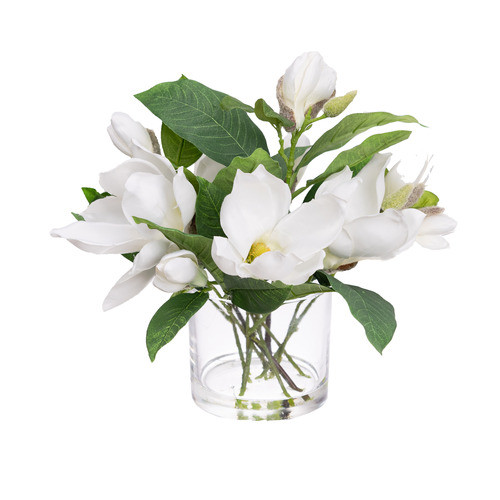 pollen&fauna 35cm White Faux Magnolia Arrangement with Glass Vase | Temple & Webster | Temple & Webster AU