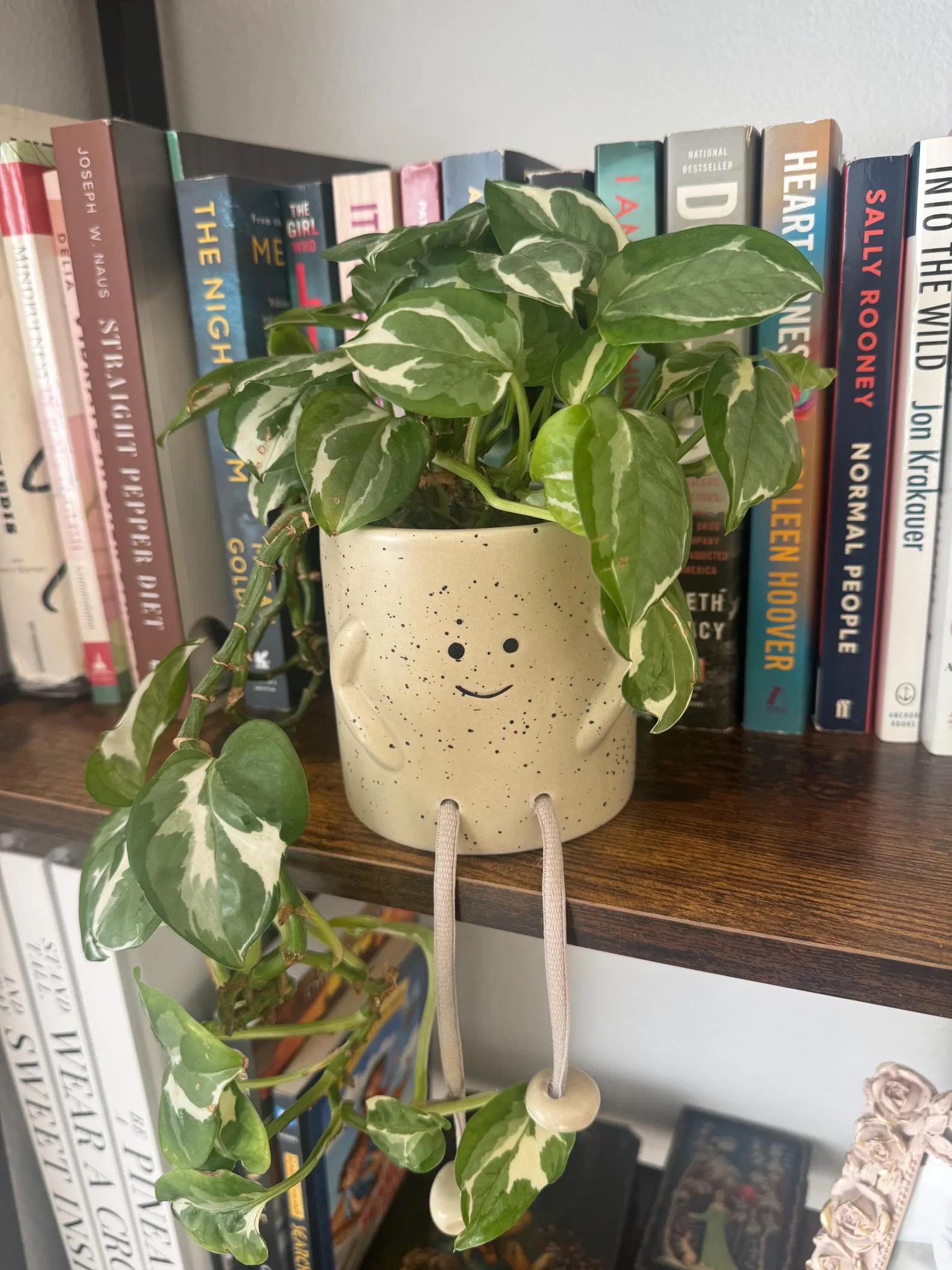 Smiling Face Planter with Rope Legs | Happy Facepot | Succulent Face Planter Pot: Ceramic with Ro... | Etsy (Global)