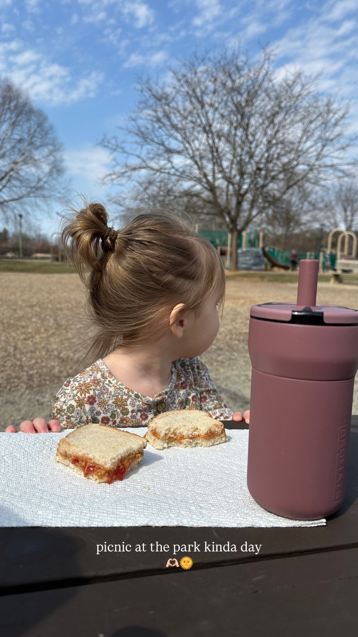 Elite toddler cup! So easy to clean and we have tried so many different brands!

#LTKTravel #LTKFamily #LTKKids