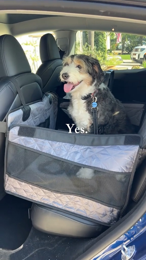 Amazon Prime day deal!! 🔗 this is exactly what we needed to upgrade the backseat for our dog and baby due in a few months 

#doghammock #dogandbaby #amazonfinds #pregnant #babyprep   

#LTKBaby #LTKFamily #LTKPets