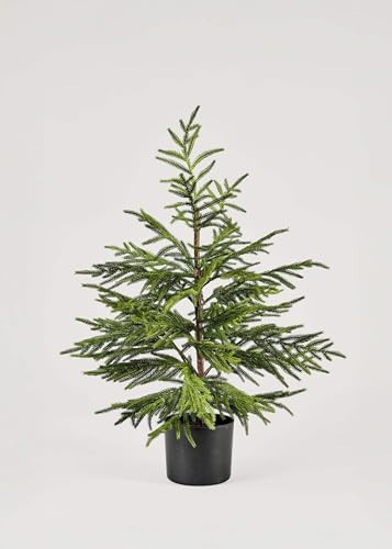Afloral Artificial Norfolk Pine Tree - 36" | Amazon (US)
