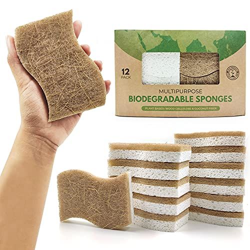 AIRNEX Biodegradable Natural Kitchen Sponge - Compostable Cellulose and Coconut Walnut Scrubber Spon | Amazon (US)