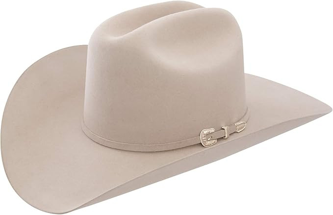 Stetson 7540 Skyline 6X Fur Cowboy Hat | Amazon (US)
