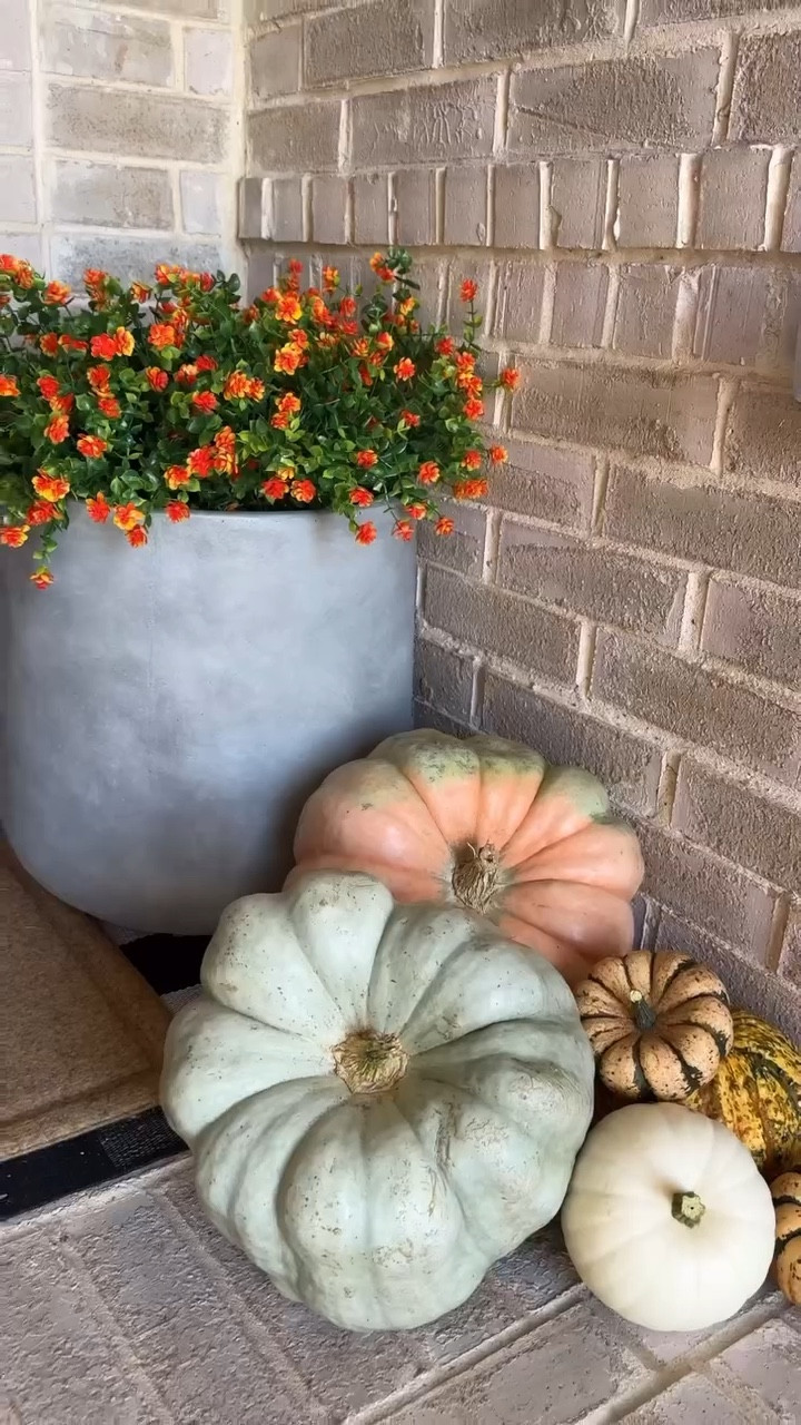 budget friendly fall front porch 🍂 I went with the fake mums hack so they will last all season and I can reuse them year after year. All of the pumpkins came from HEB and most were 2 for $3. The wreath and doormat were both a fall Amazon find for under $20. This was my first time styling a long and narrow front porch for the fall season, let me know what you think!

#fallporch #fallporchdecor #fallfrontporch #affordabledecor #halloweenfrontporch #budgetfriendlydecor #amazonhome #amazonhomefinds refresh the front porch for fall. Fall front porch refresh. Fall front porch ideas. Fall front porch decor. Decorate my front porch for fall with me.

#LTKHome #LTKVideo #LTKSeasonal