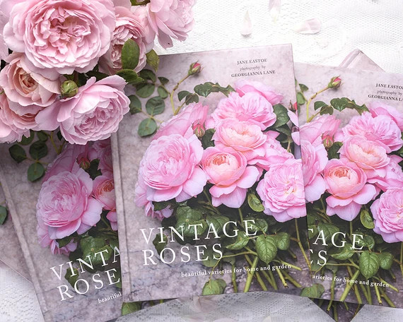 Vintage Roses Book – Signed by Photographer Georgianna Lane, Rose Photography, Flower Photograp... | Etsy (US)