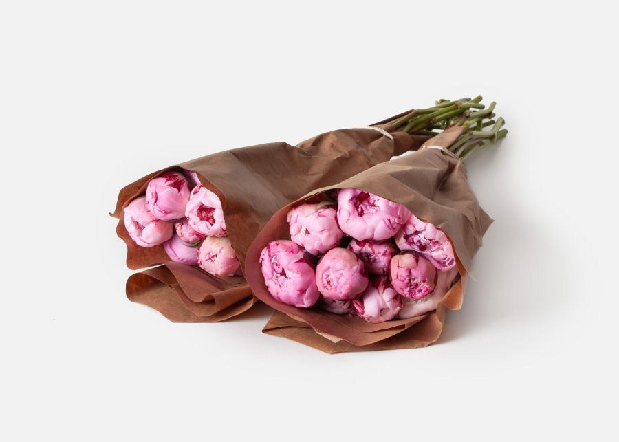 Double The Peony | UrbanStems