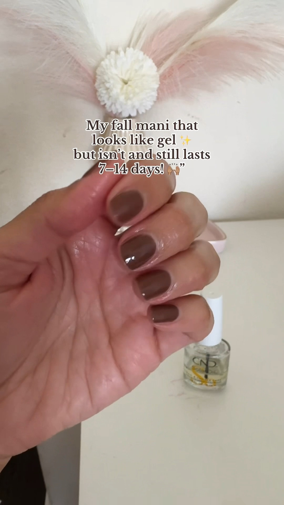 Chocolate brown perfect for the fall season🤎🍂🐻

#LTKSeasonal #LTKGiftGuide #LTKHoliday